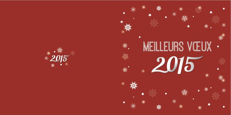modele carte de voeux 2017 word